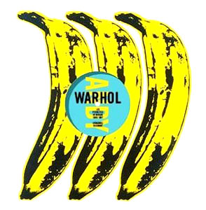Andy Warhol record covers book