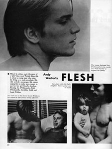 Flesh article